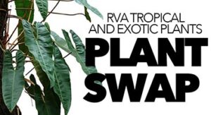 Plant Swap Graphic Thumbnail