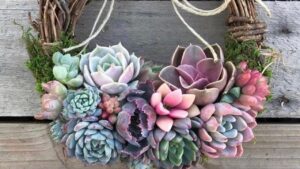 Summer Living Wreaths with Succulents