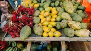 Tropical Food Plants: Fruit