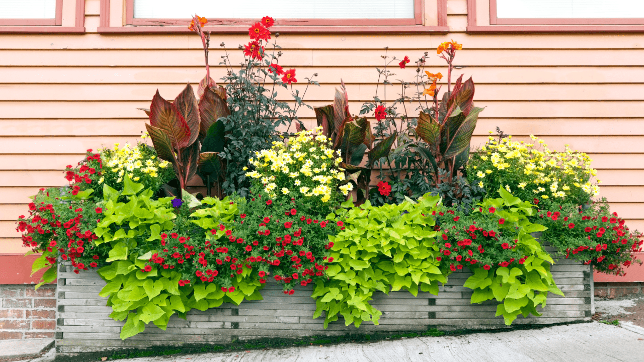 Fall Curated Containers