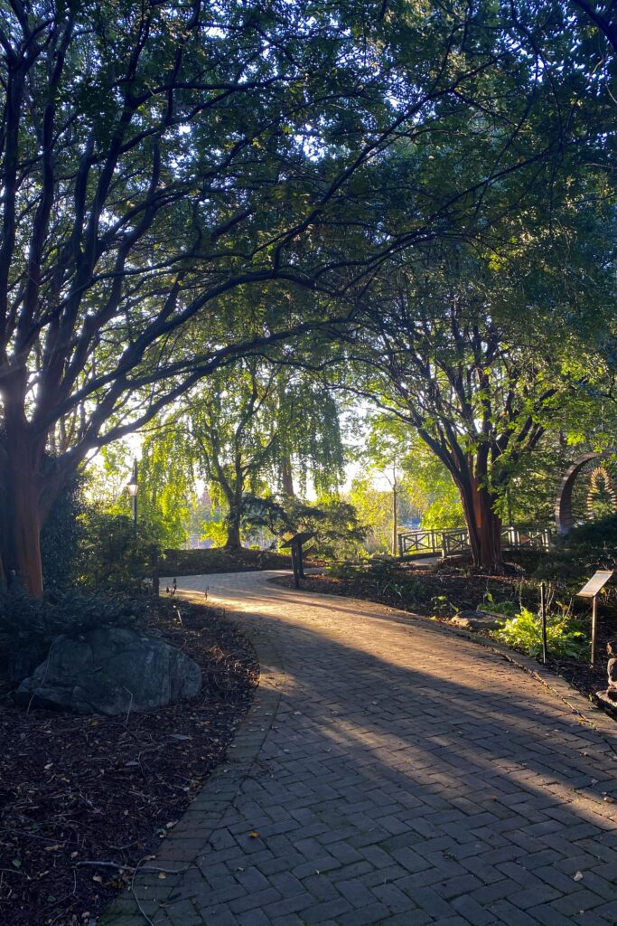 The Flagler Garden path. photo by Meredith Orne