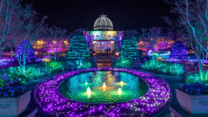Nighttime Photography featuring GardenFest of Lights