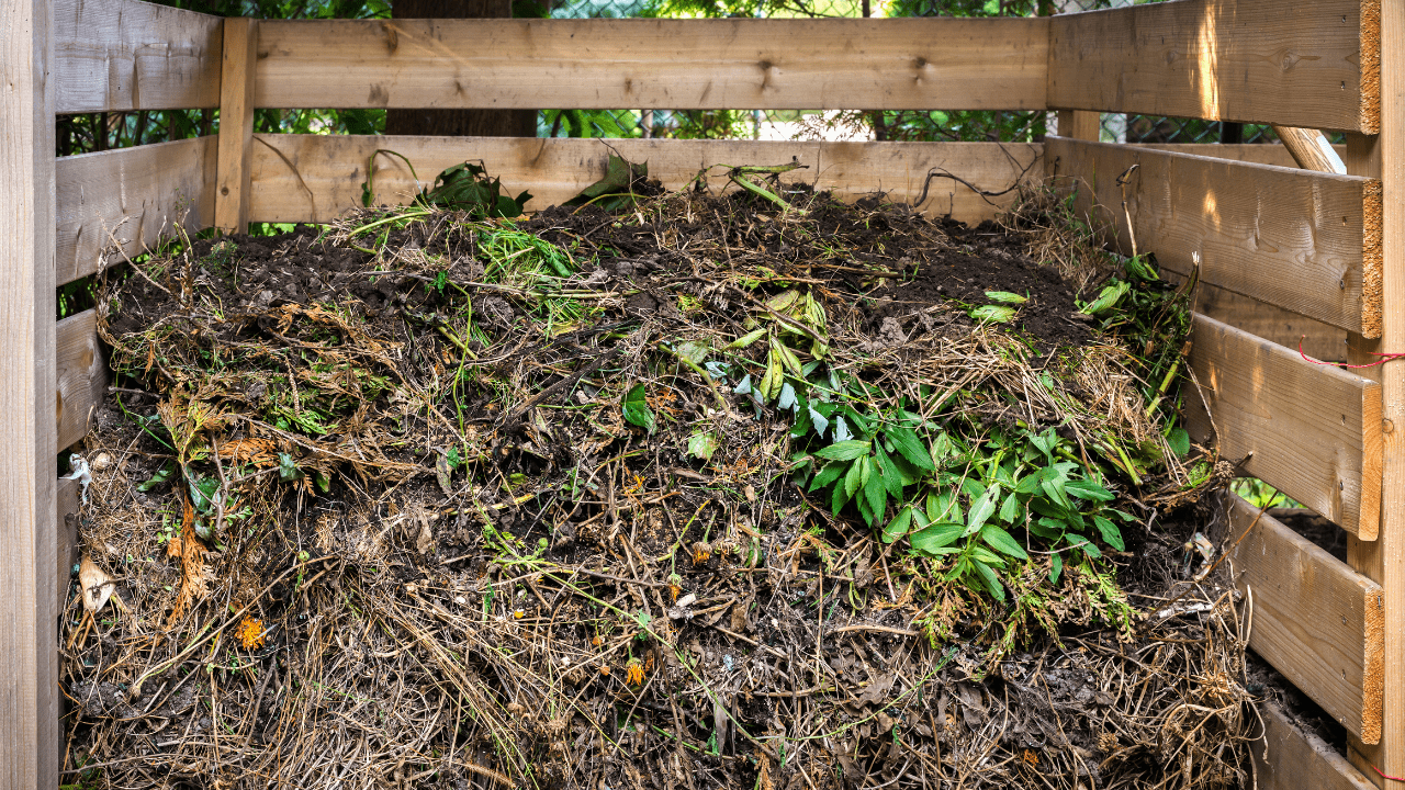 Backyard Composting