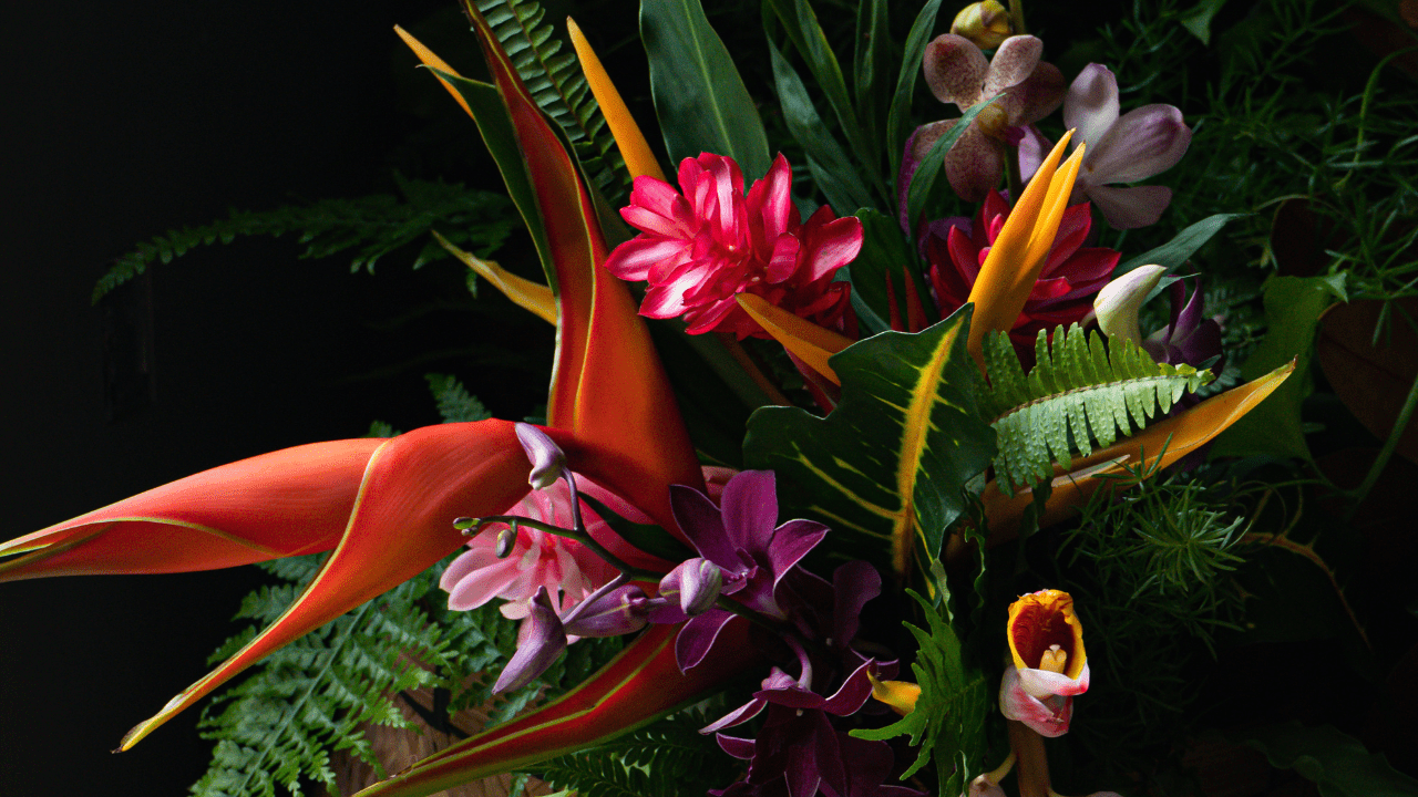 Tropical Paradise: Designing with Tropicals