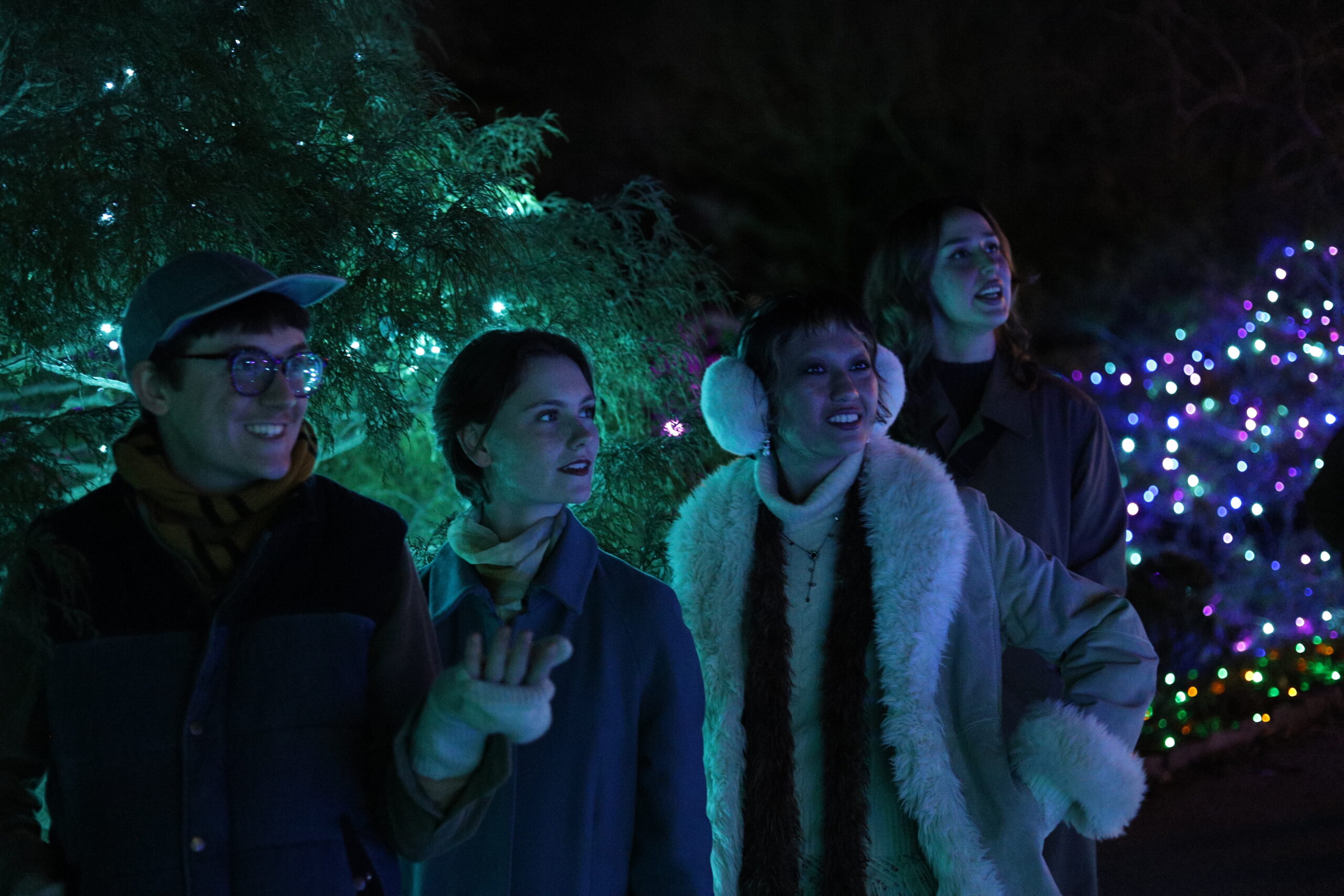 GardenFest attendees enjoying the lights