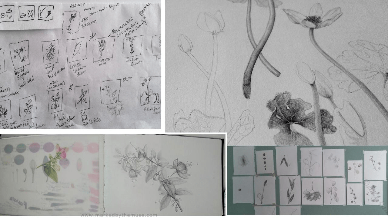 Cultivating the Creative Process of Botanical Art