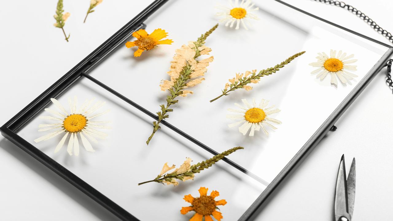 Pressed Flower Floating Frames