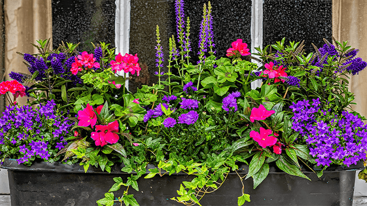 Spring/Summer Curated Containers Banner