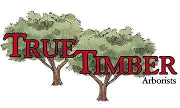 True Timber logo