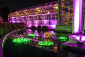 Lily pad and water lily light forms outside the Conservatory. Photo by Tom Hennessy.