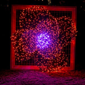 Poppy light form at GardenFest of Lights 2023. Photo by Tom Hennessy.