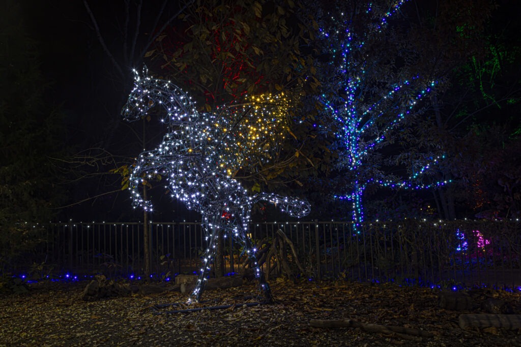 Pegasus light form at GardenFest of Lights 2023. Photo by Tom Hennessy.