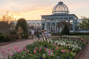 Conservatory at Sunset