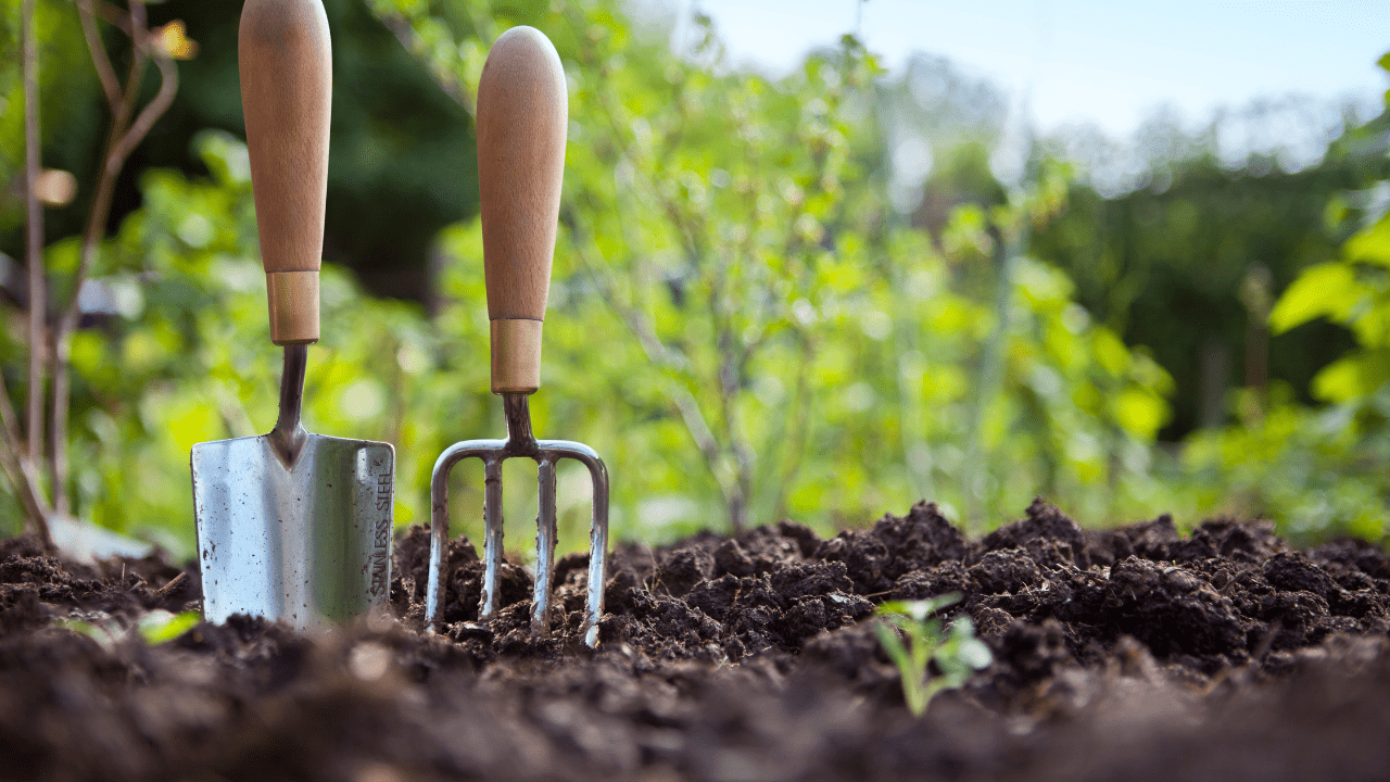 Building Good Garden Soil Spring
