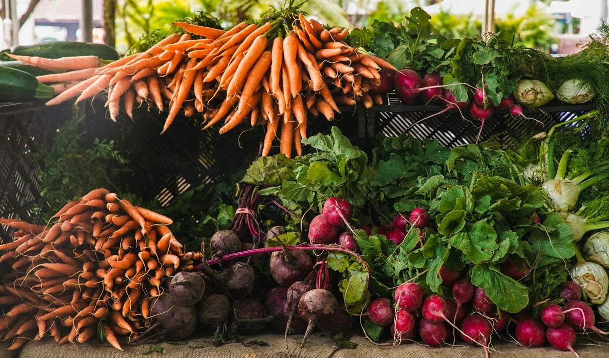 Produce Aisle Botany for Botanical Illustration