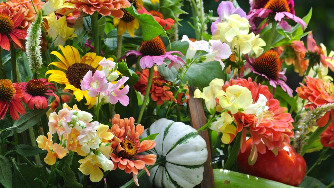 Summer Harvest: Floral Design with Fresh Blooms & Vegetables