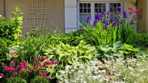 Designing a Four-Season Perennial Garden