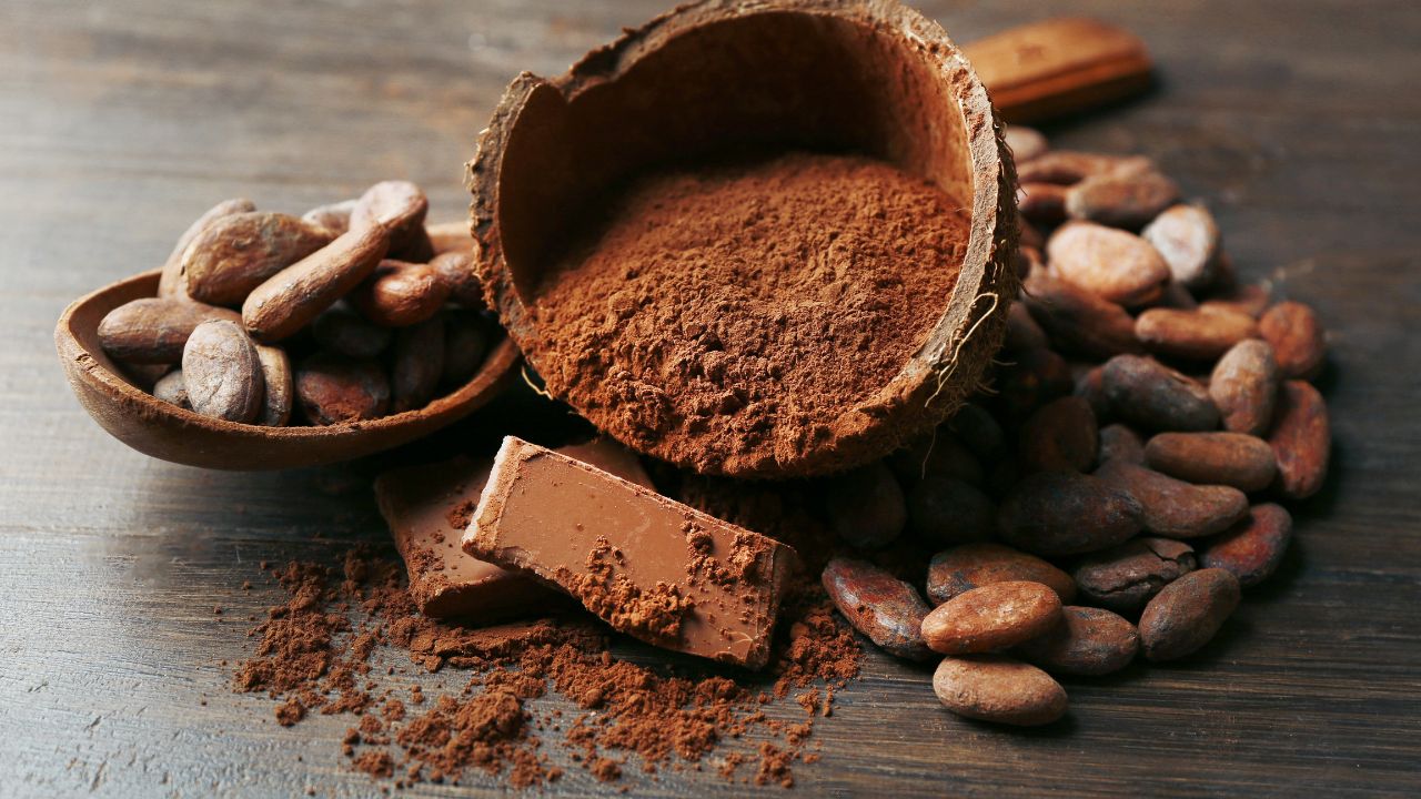 Edible History: Exotic and Decadent Chocolate and Vanilla