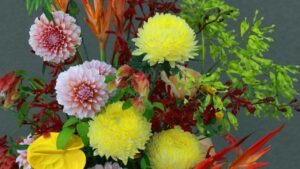 Cluster Bunch: Groupings for Big Impact