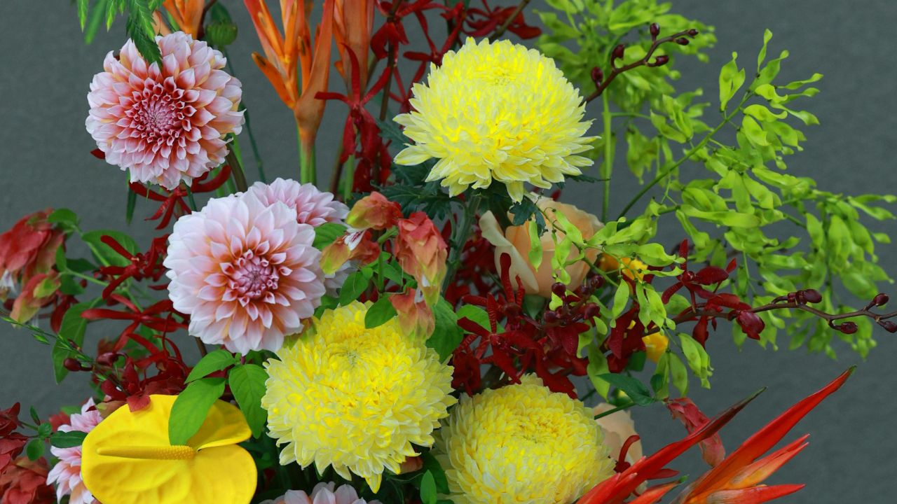 Cluster Bunch: Groupings for Big Impact