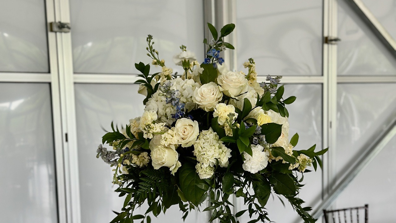 Two Colors: Endless Possibilities