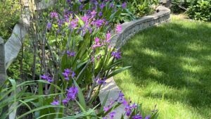 Designing a Four-Season Perennial Garden