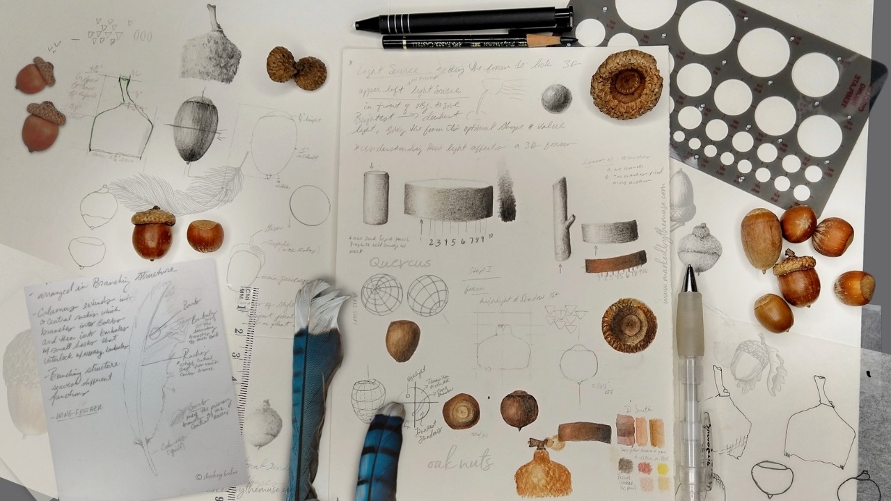 Prerequisite: Introduction to Botanical Drawing II.