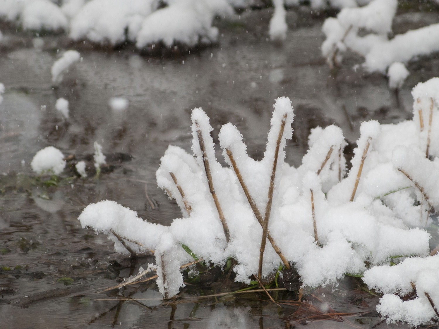 Winter Wonders: A Photography Workshop