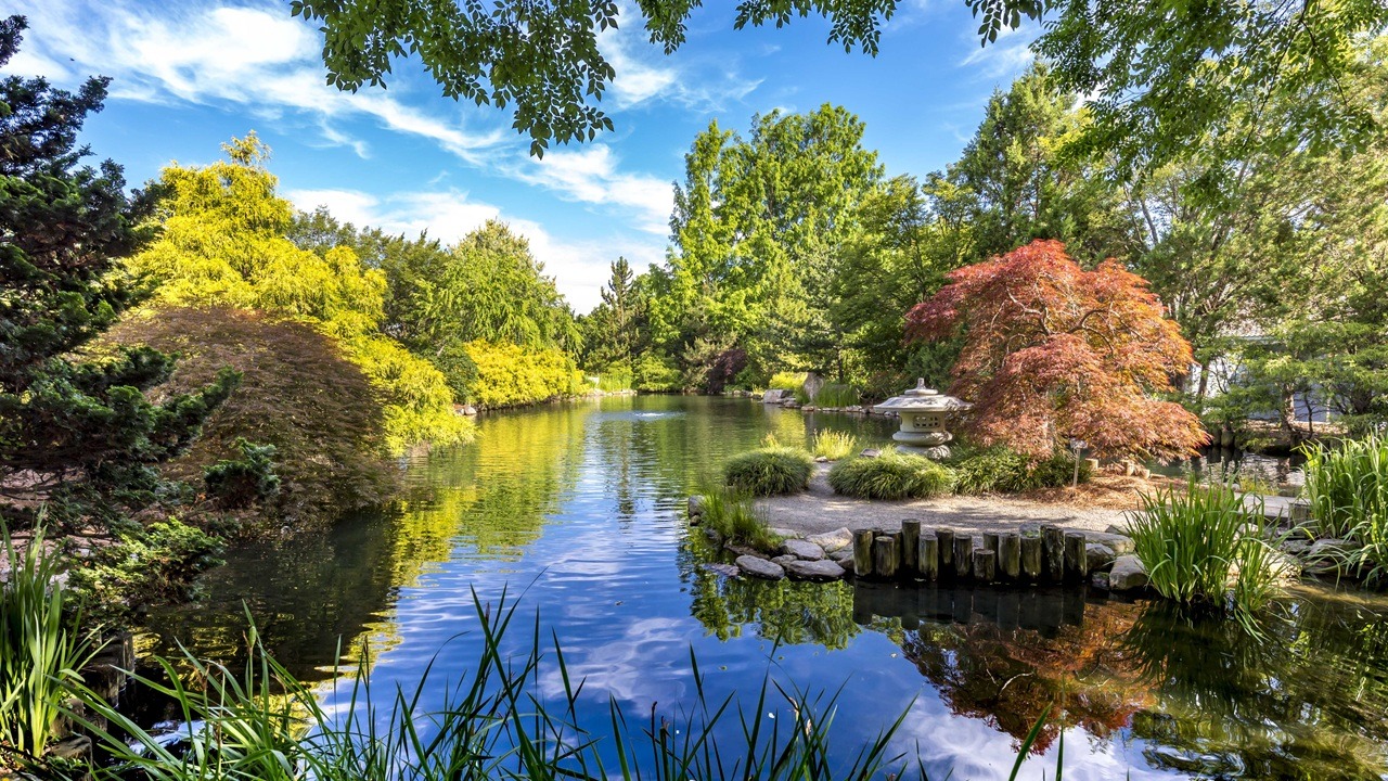 2026 Winter Symposium and CVNLA Short Course