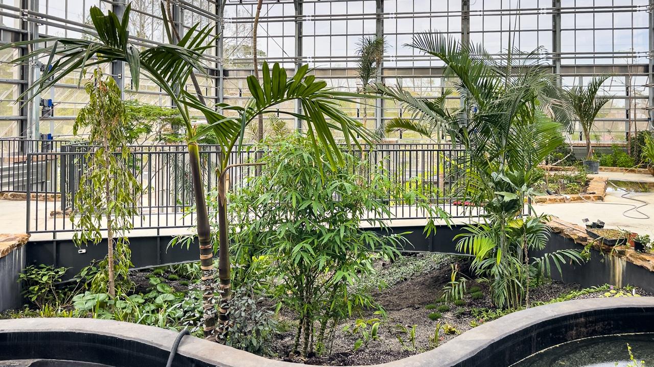 Habitat to Houseplants: A History of Indoor Gardening & Greenhouse Technology