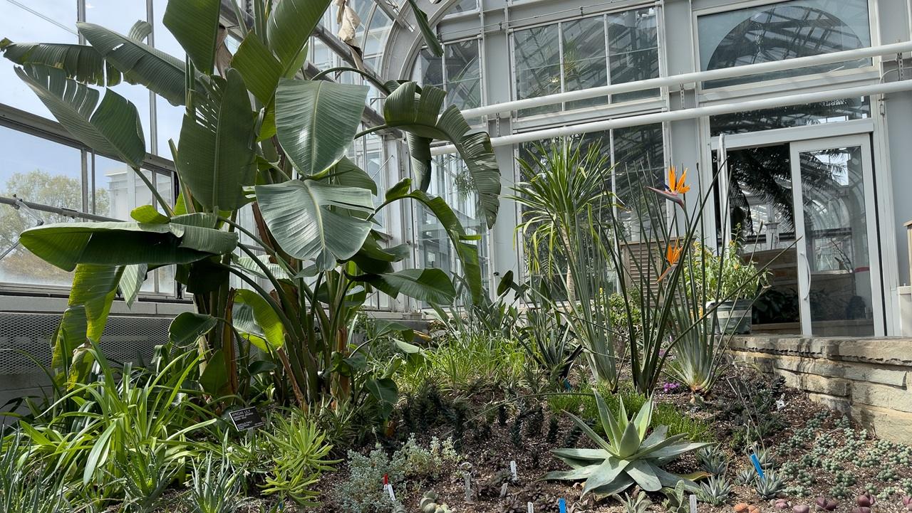 Mediterranean Landscapes Under Glass