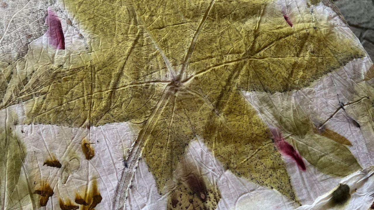 From Garden to Color: the Art and History of Botanical Dyeing