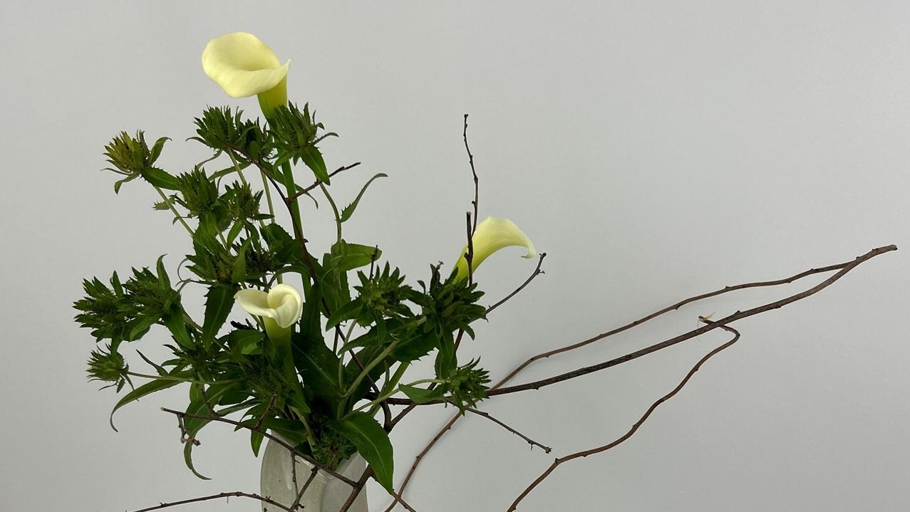 Ikebana for Early Summer