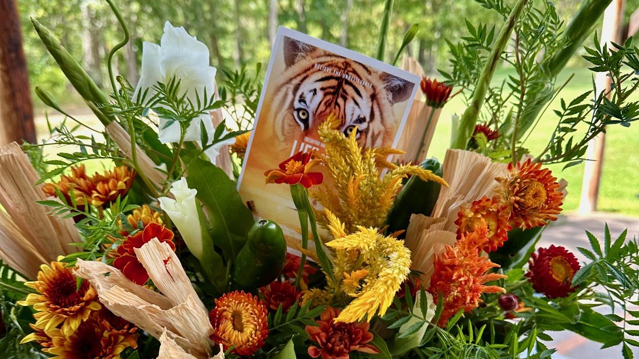 Arranging to a Prompt: Designing with Intention & Imagination