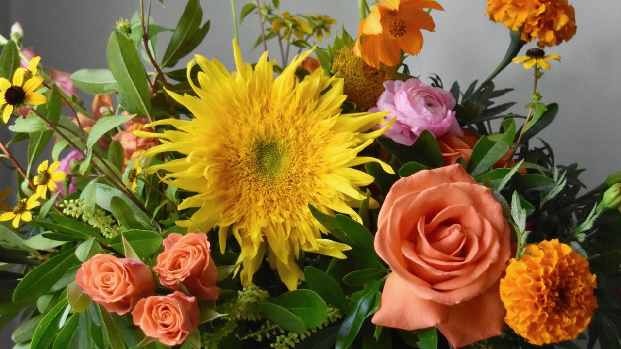 Don’t Be a Chicken of Chicken Wire: Creating Sustainable Designs