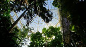 Tropical Landscapes Under Glass