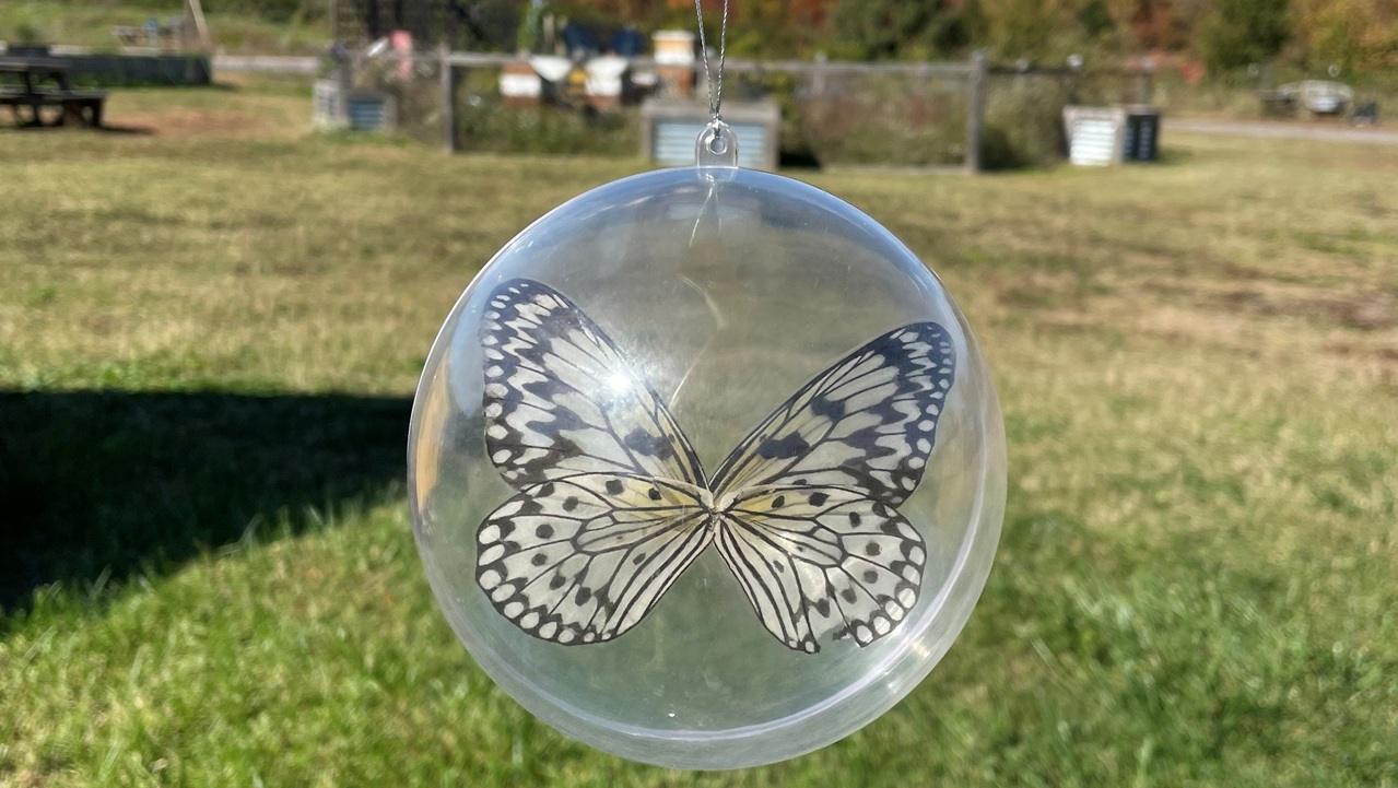 DIY Floating Butterfly Ornaments