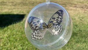 DIY Floating Butterfly Ornaments