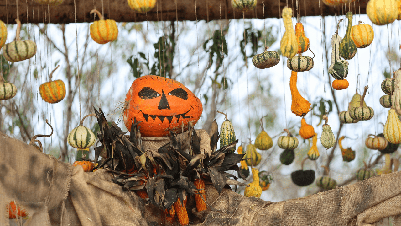 Scarecrow Making for the Modern Garden